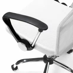 Beliani Silla De Oficina Reclinable De Malla Blanco/negro/plateado DESIGN 21 Beliani Silla De Oficina Reclinable De Malla Blanco/negro/plateado DESIGN -Sillas Ventas undef src sa picid 692356 type whitesh image scaled