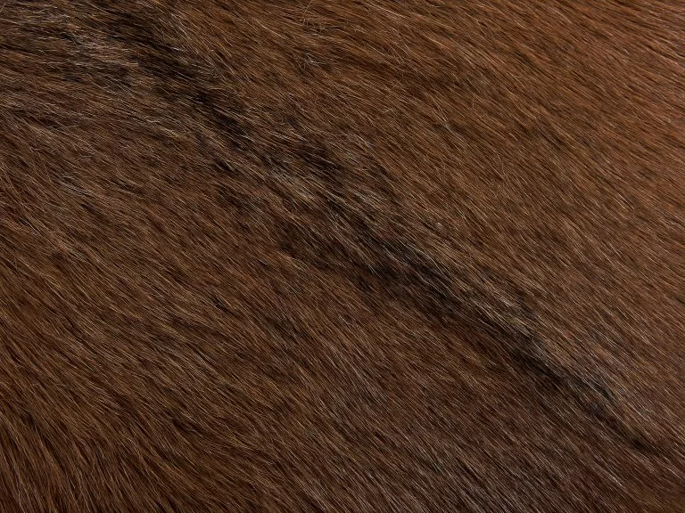 Beliani Taburete De Bar De Piel Marrón WALTON - Imagen 7