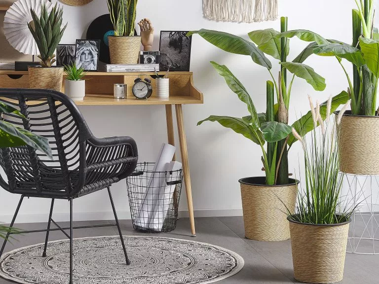 Beliani Silla De Comedor De Ratán Negro CANORA - Imagen 4