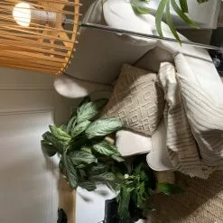 Beliani Sillón De Poliéster Beige Claro/negro ABSON 14 Beliani Sillón De Poliéster Beige Claro/negro ABSON -Sillas Ventas undef src sa picid 818992 type whitesh image scaled